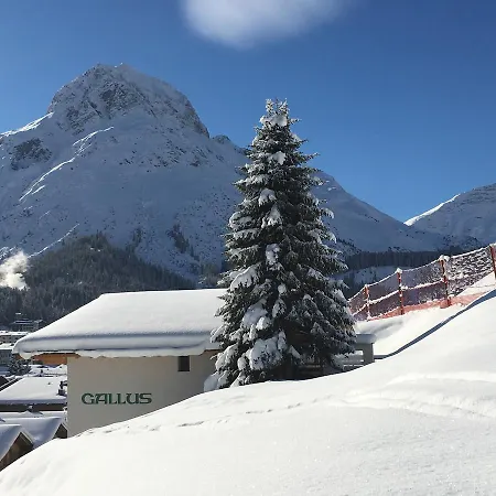 Gallus Guest house 3*