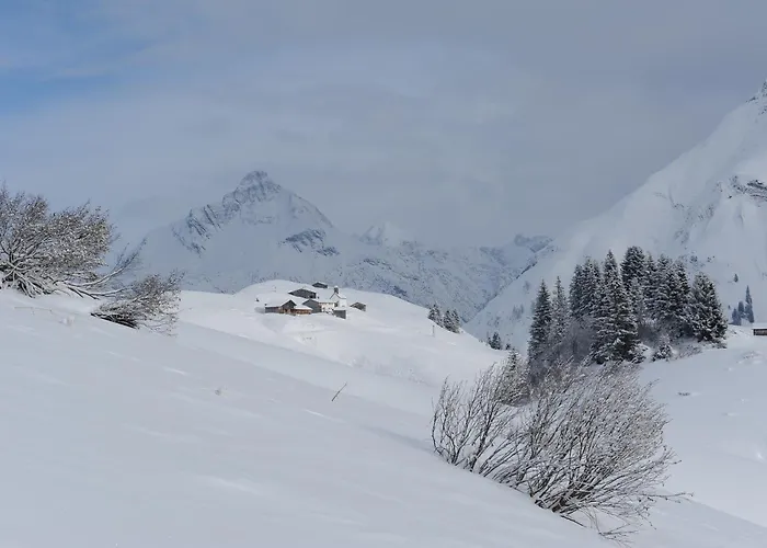 Gallus Guest house 3*